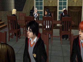 Harry Potter and the Order of Phoenix Chapter 11The Sims 2