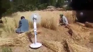Amazing People using Solar and Solar fan for cutting wheat