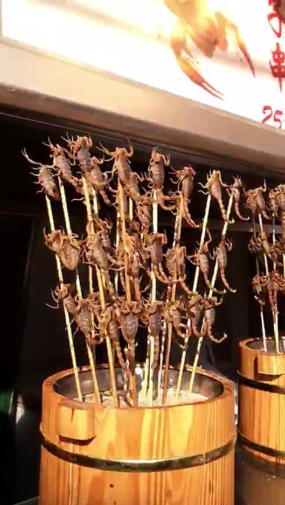 Scorpion ready for eating || Amazing Scorpion