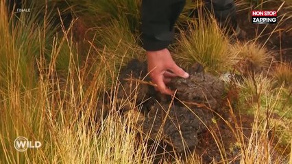 Wild : A cours de bois, un candidat fait du feu avec… des excréments ! (Vidéo)