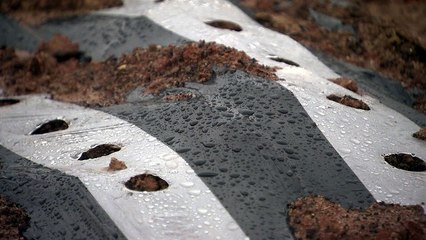 "농번기 물 걱정 없습니다."...넉넉한 봄비에 완전해갈 / YTN