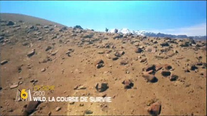 Bande annonce de la finale de "Wild  : La course de survie"