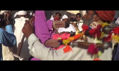 Wedding Dance in Barat II Shadi Jhumar II HD Video