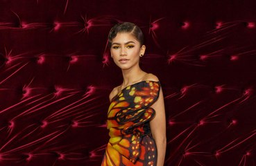 Zendaya slams Hollywood's beauty standards