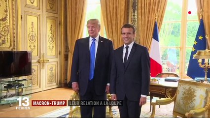 Macron-Trump : quelles relations entretiennent les deux présidents ?