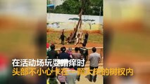 Une girafe se coince le cou dans un arbre