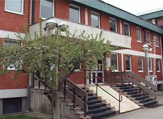 Proleće i alergije na polen, 23. april 2018. (RTV Bor)