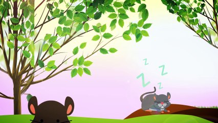 Are you sleeping Brother John Nursery Rhyme Song for Babies Educational Video for Kids by LullaSongs