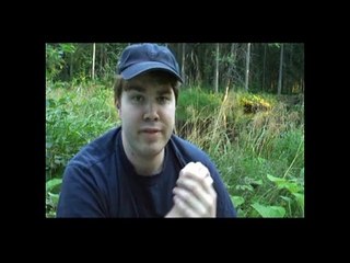 Tales from the North - Green Gold