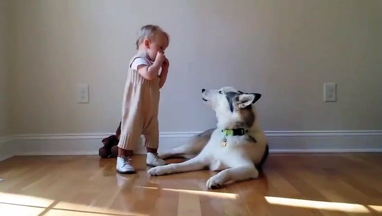 Ce bébé qui joue de l'harmonica et son chien forment un excellent duo