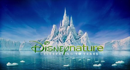 Penguins Bande-annonce VO (2019)