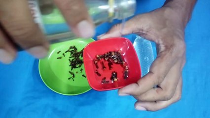 মাত্র ৩ ফোটা মাখলে ধো_ন ২৪ ঘন্টা লোহার মতো দাড়িয়ে থাকবে সারা দিন - Olive Oil Benefit For Dark Skin