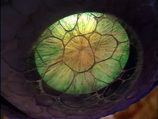 Doctor Who S08 E08  The Mind of Evil, E Four