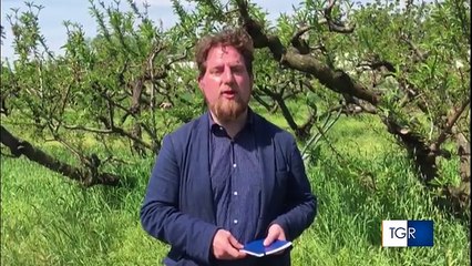 Uomo travolto e ucciso da cavalli in Puglia: dov'erano le misure di sicurezza e l'area circoscritta?