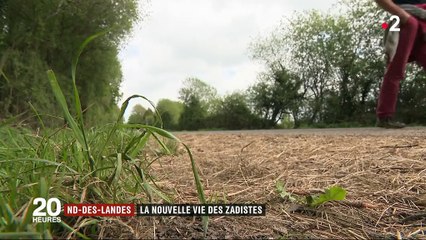 Notre-Dame-des-Landes : quelle sera la nouvelle vie des zadistes ?