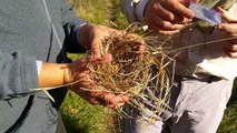 Accendere il fuoco con la lente di fresnel