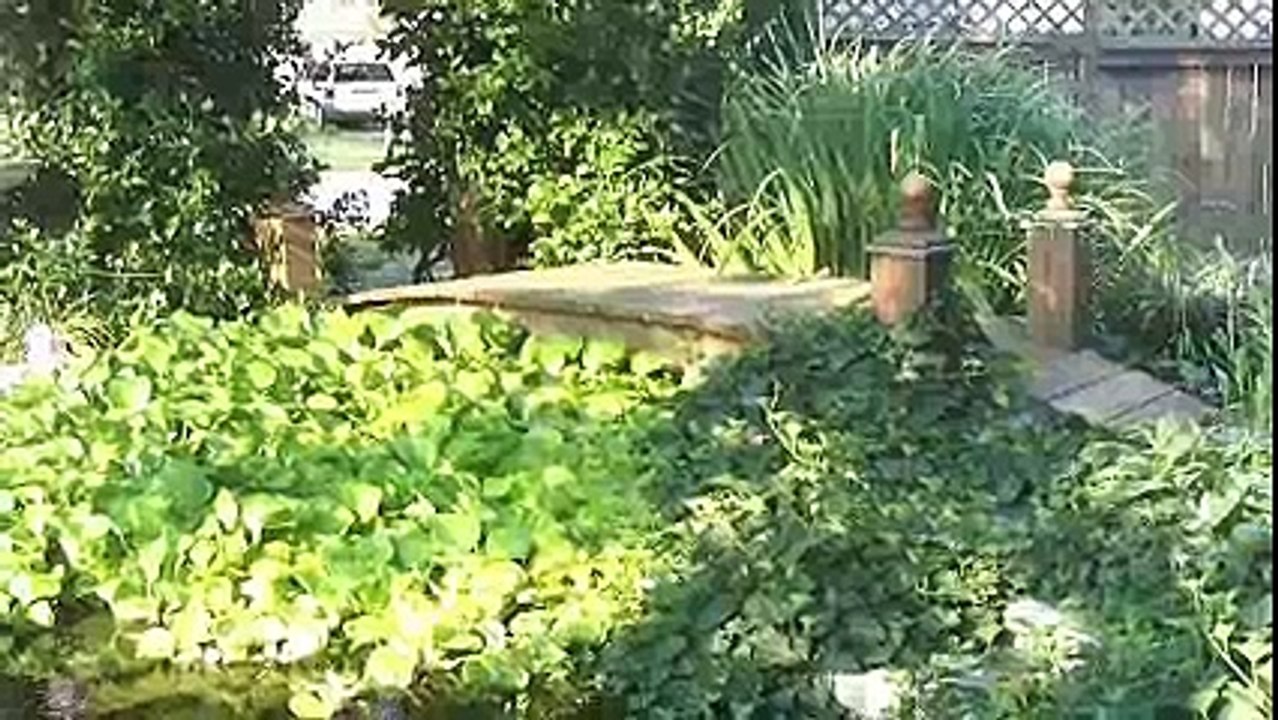 NXG Video Test