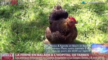 HPyTv Tarbes | La Ferme en Balade à l'hôpital de Tarbes (18 avril 18)