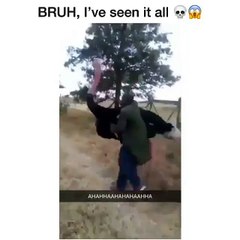 WTF? Man riding a Ostrich like a horse...now i've seen it all