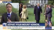 Visite d'Emmanuel Macron à Donald Trump: les deux couples présidentiels ont planté un arbre