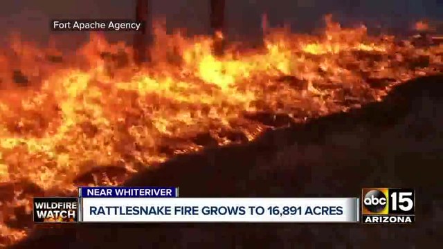 Top stories: Woman arrested for Valley chase, Rattlesnake fire