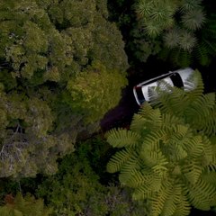 Exploring Auckland, New Zealand