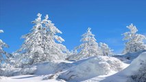 preciosos paisajes nevados.