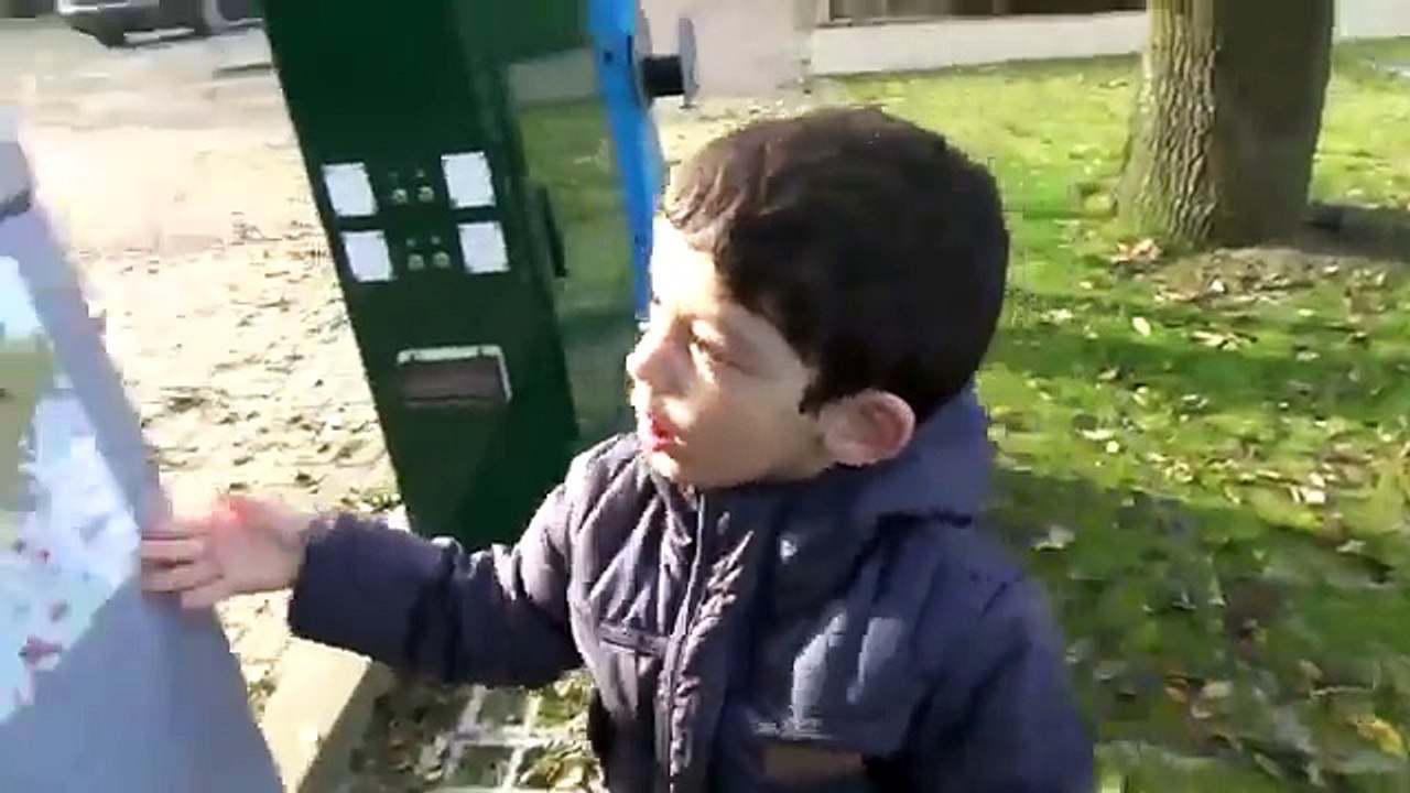 Fun Time In The Park With Animals