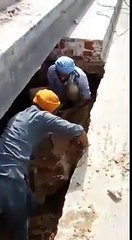 400 ਸਾਲ ਪੁਰਾਣਾ ਖੂਹ ਨਿਕਲਿਆ ਗੁਰੂਦੁਆਰਾ ਸਾਹਿਬ ਸਰੋਵਰ ਦੀਆਂ ਪੌੜੀਆਂ ਵਿਚੋਂ ਸ਼ੇਅਰ ਕਰੋ ਜੀ।