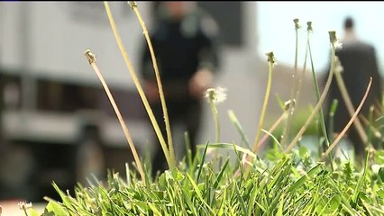 California Mother Killed Two Young Sons, Then Herself, Police Say