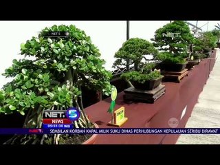 Festival Tanahaman Bonsai NET5