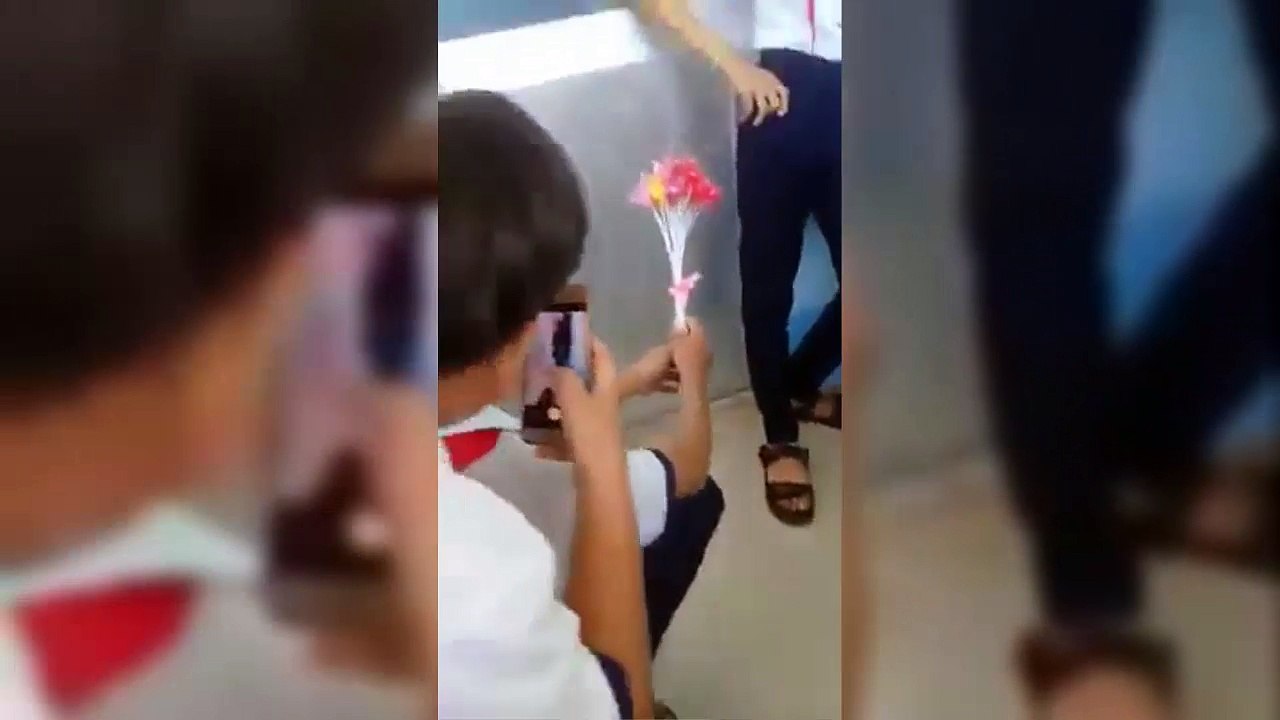 to tình