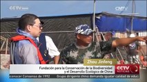 Trabajadores de las Islas Yongle protegen a las tortugas marinas