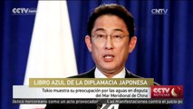 Tokio muestra su preocupación por las aguas en disputa del Mar Meridional de China