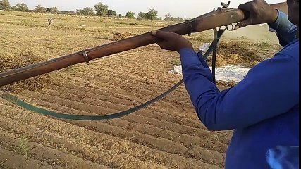 Fire gun for farm to keep wild animals away