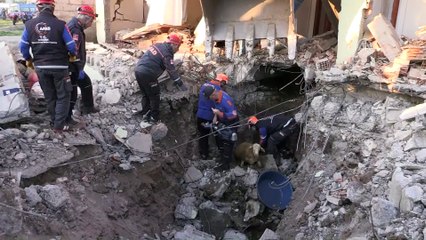 Samsat'ta deprem (8) - Göçük altında kalan hayvanları kurtarma çalışması - ADIYAMAN