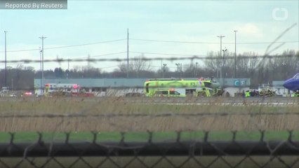 Southwest Flight Grounded After Bird Strike