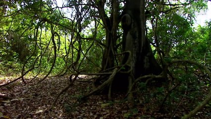 Venezuela: A Paradise in Hell (Part 1/5)