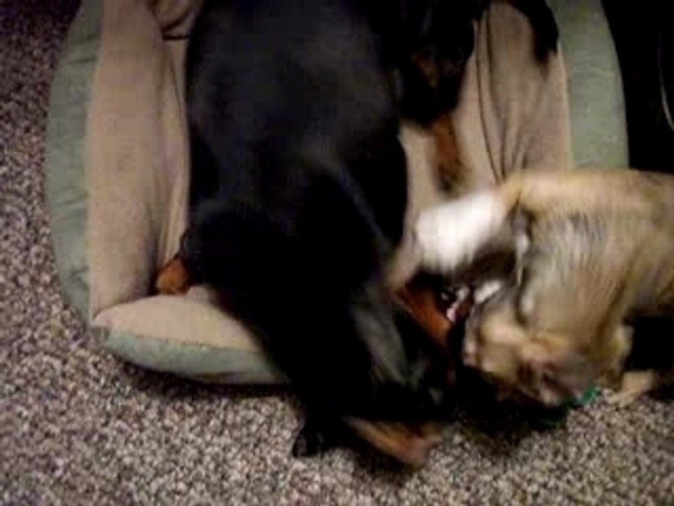 BOOTS & LUCIE LOVE'N