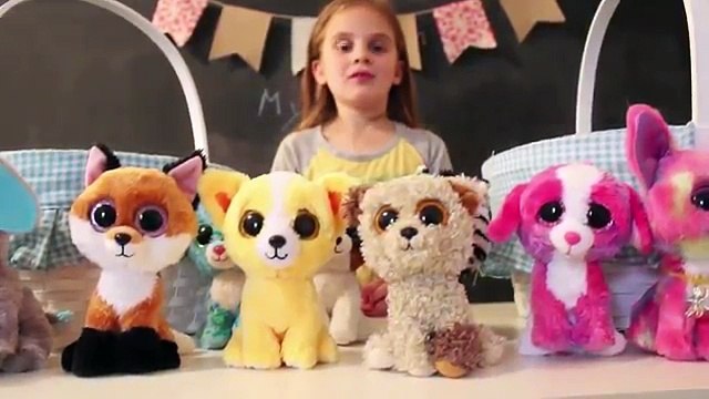 Entire Beanie Boos Collection