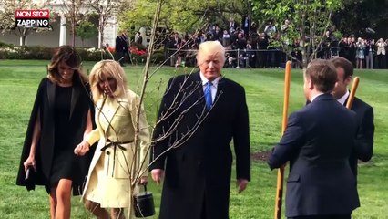 Emmanuel Macron et Donald Trump plantent un arbre à la Maison Blanche (vidéo)
