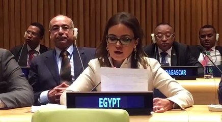 مصر تلقى بيان المجموعة 77 والصين امام المجلس الاقتصادى والاجتماعى للأمم المتحدة بنيويورك