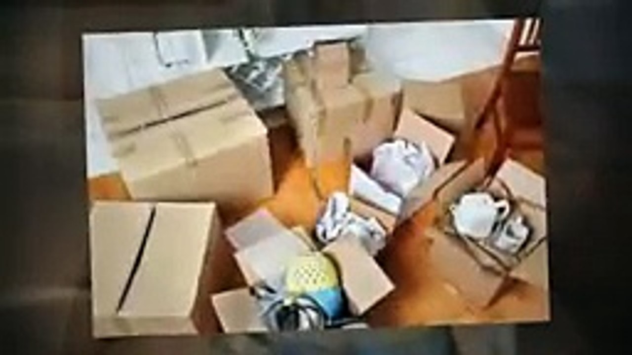 Best Movers Los Angeles