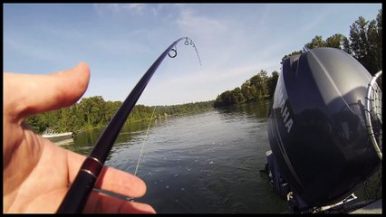 Go Pro Instant Takedown