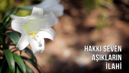 Müziksiz İlahiler - Hakkı Seven Aşıkların