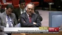 El representante de China ante la ONU insta a una solución política