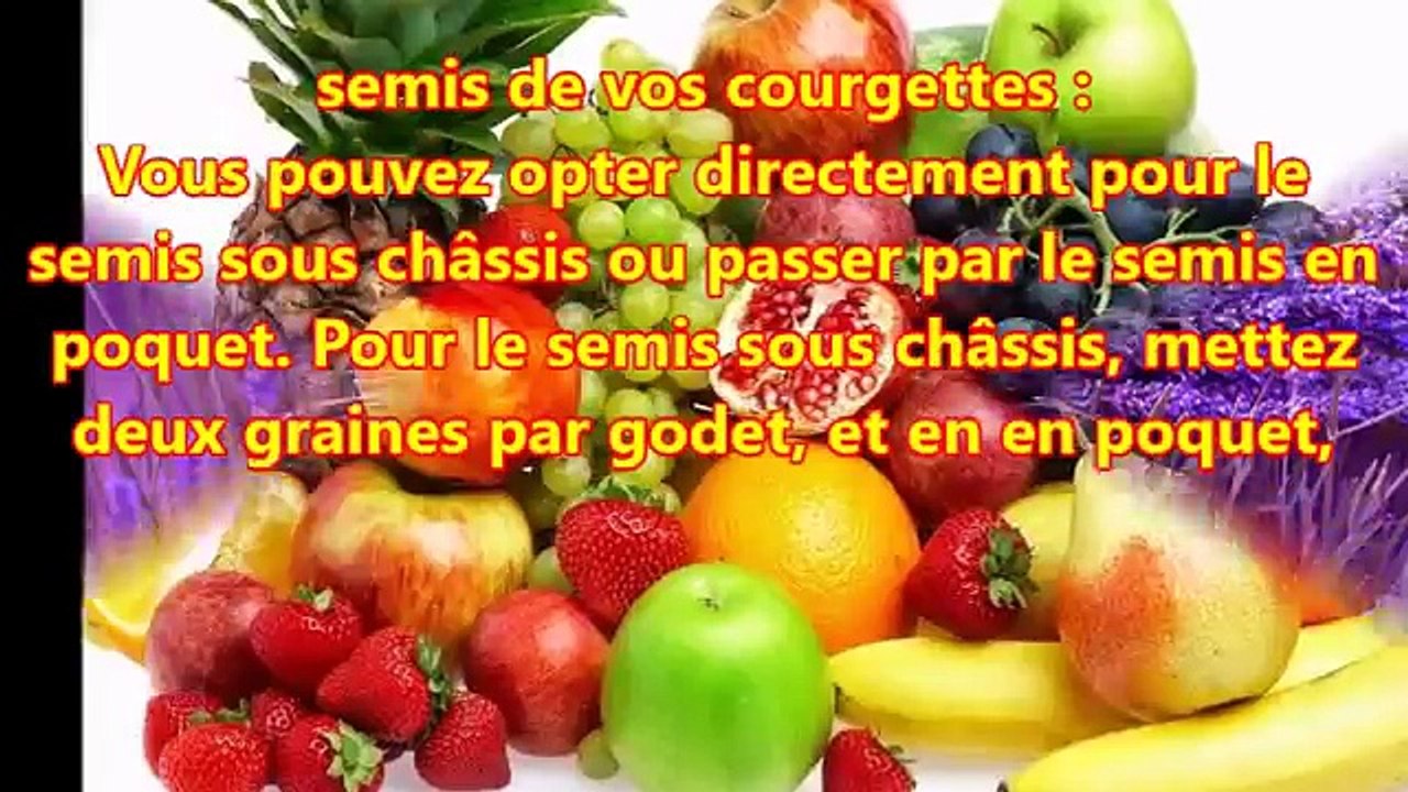 Semer et planter des courgettes chez vous