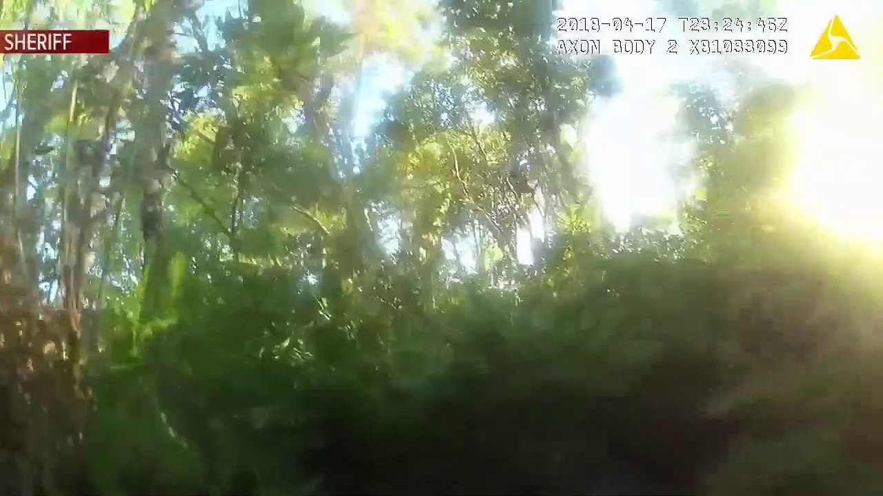 Un suspect tente de prendre la fuite en se cachant dans un marécage