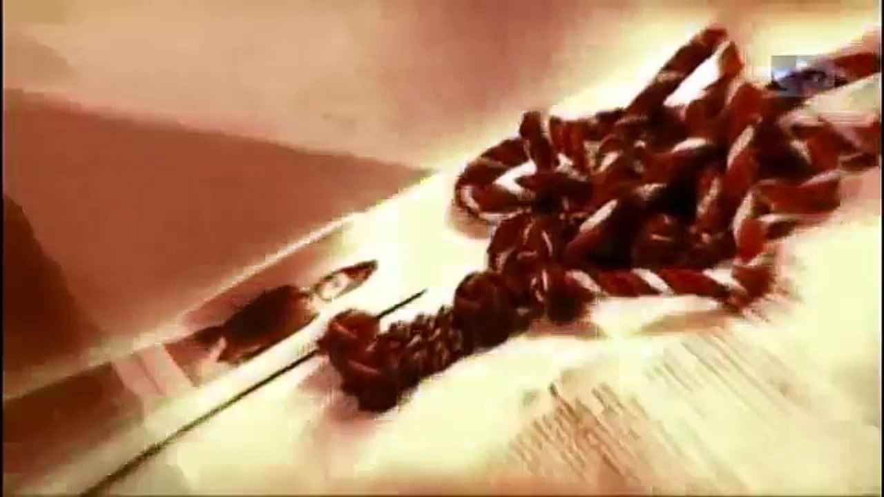 Reportage - Des crimes presque parfaits - Affaire Hélène Jégado