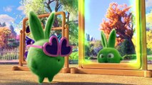 Sunny Bunnies - Chick-a-Bunny (Full Episode) Sunny Bunnies *Cartoons for Children*